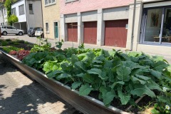 Ausflug-Rhyschiff-2025_6